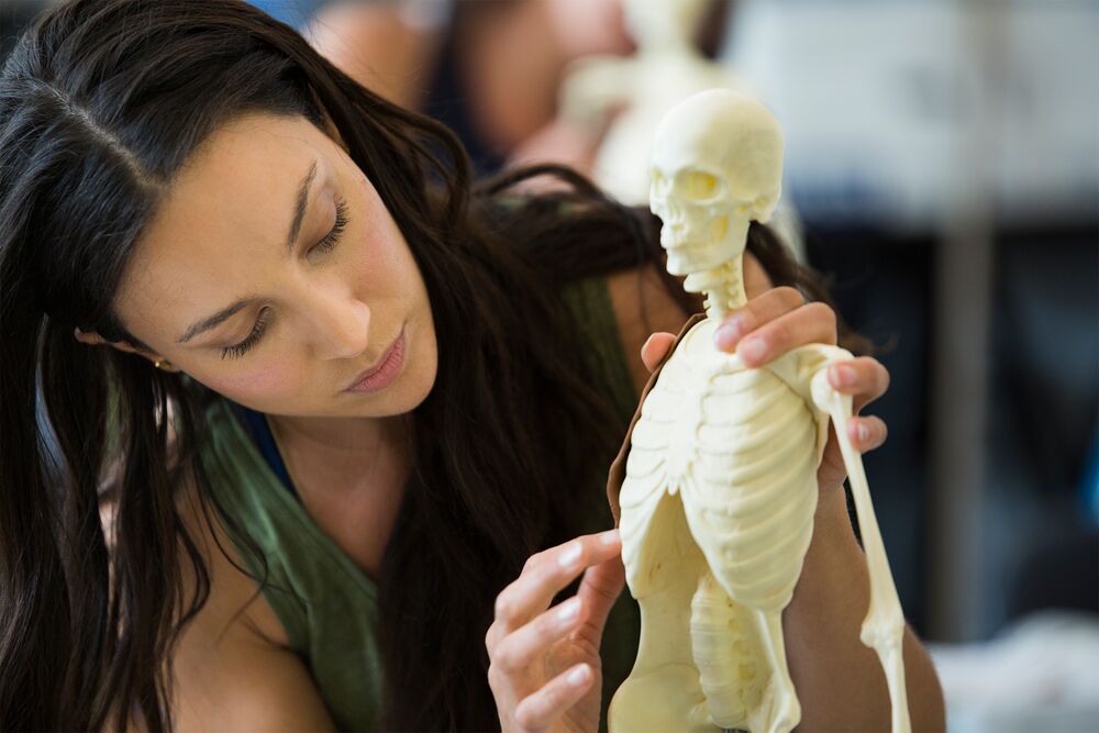 Small Size-1706_AI3D_Dallas015 curso anatomía en 3d balanced body